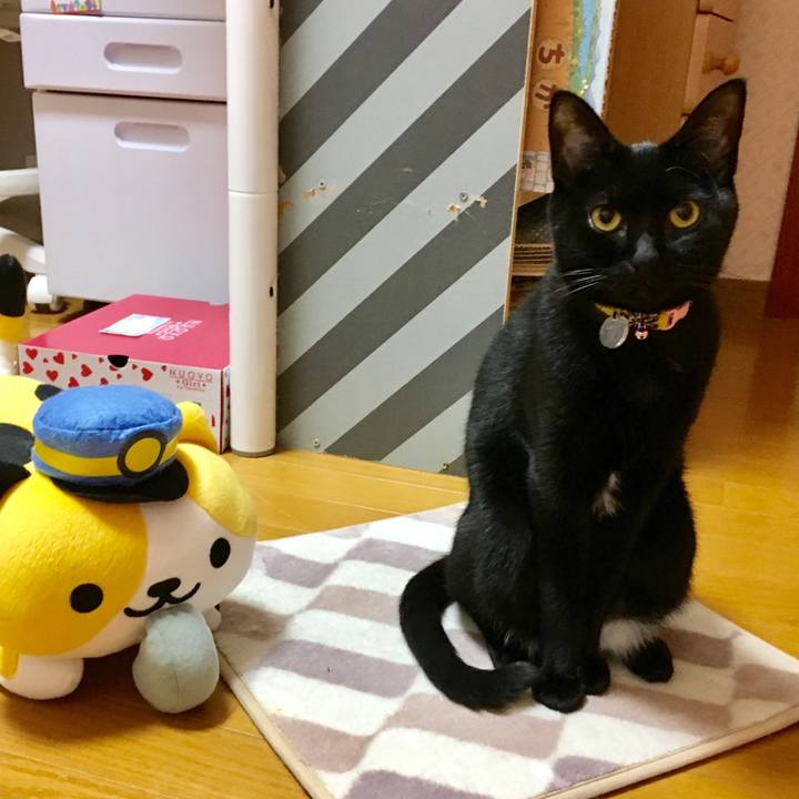 1c6130f4 b608 474d 921c f8ffcb0473a1