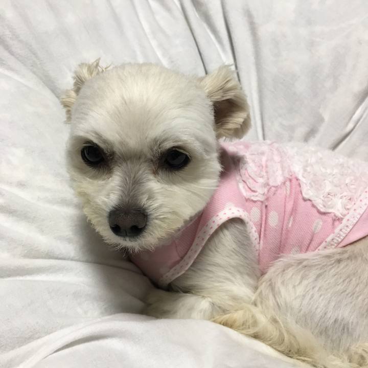 1c6183ab 7d3e 4e7d bf44 8fd19d74924c