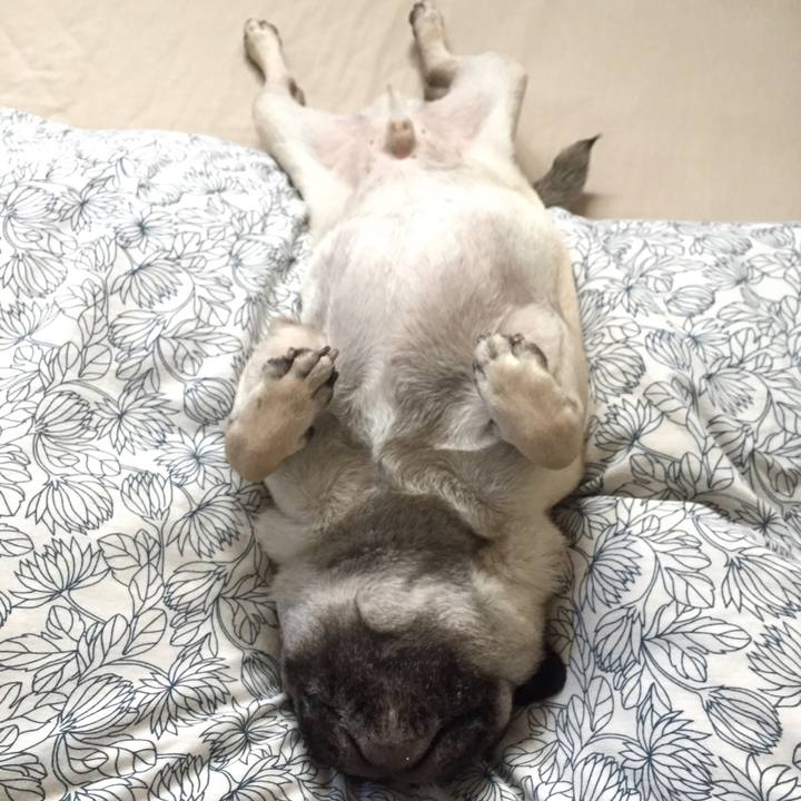 1c61c48e 51a5 41ce ad28 7fa4134ce024