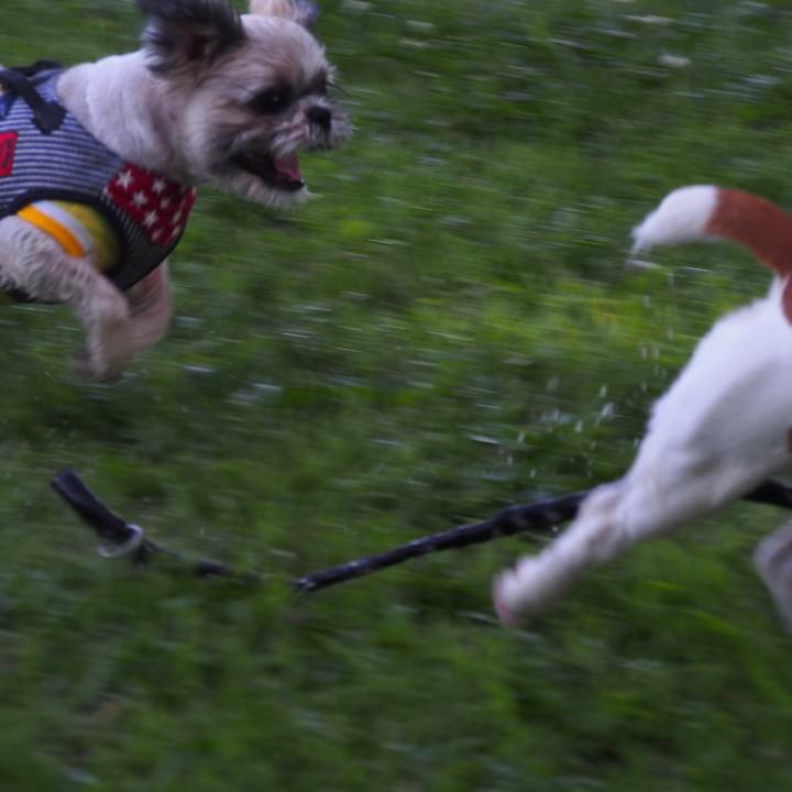 1c62e2a0 3c4a 494e a0f2 bde98e362141