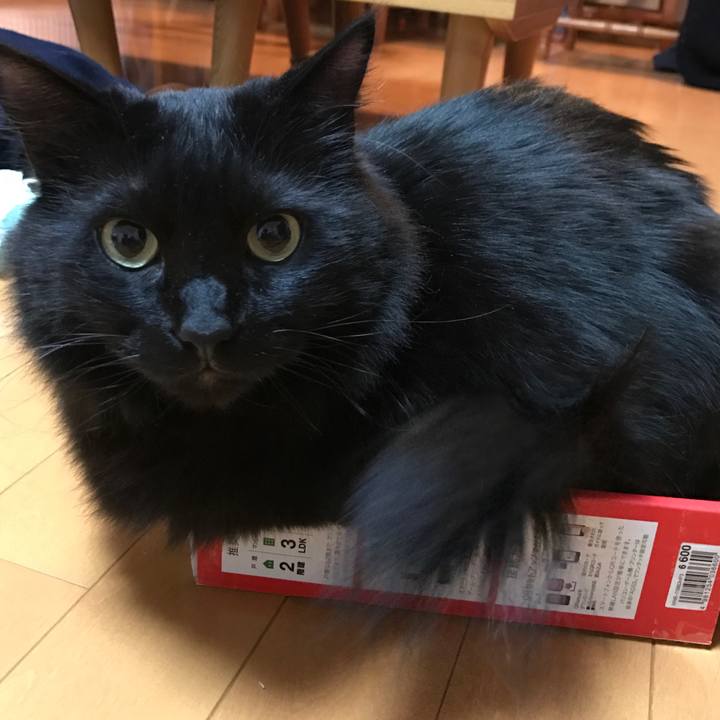 1c637df5 5e5f 4a40 956e 69bf69ea003e