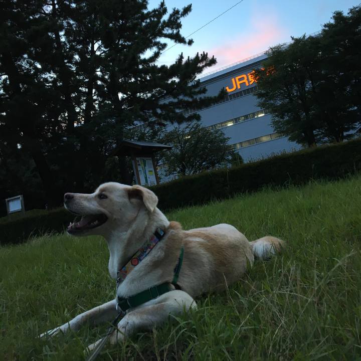 1c639491 523d 432c b63e 2f9505235bbe