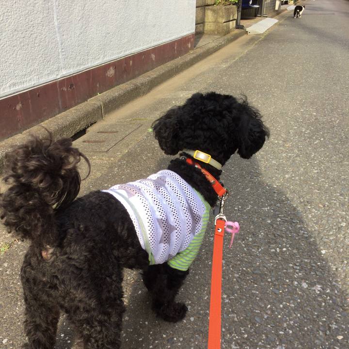 1c63de85 9568 461c b358 6bc9d246669b