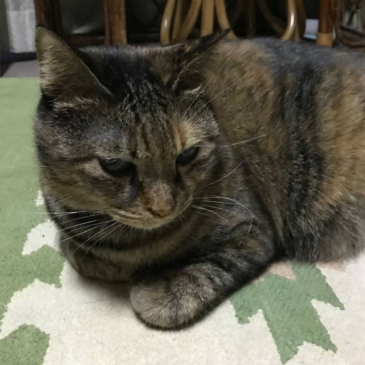 1c650672 c0f2 408f a227 7e28b07ee9b9