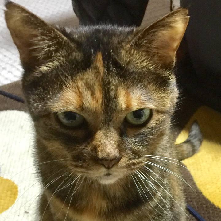 1c652bdd 7d0b 4c62 9640 3a9e276b4265