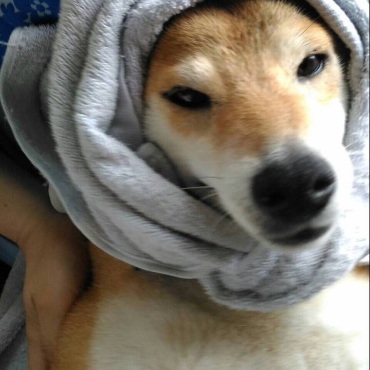 1c6536f3 c14d 4592 b138 2ec4e2ec7bdf