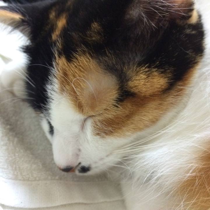 1c6557f0 ac6d 4d8e b73c f4655ce67bfb