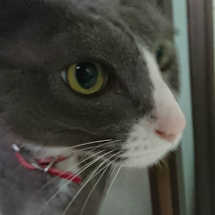 1c6565be 2673 4fbf b4c6 0a963144c80b