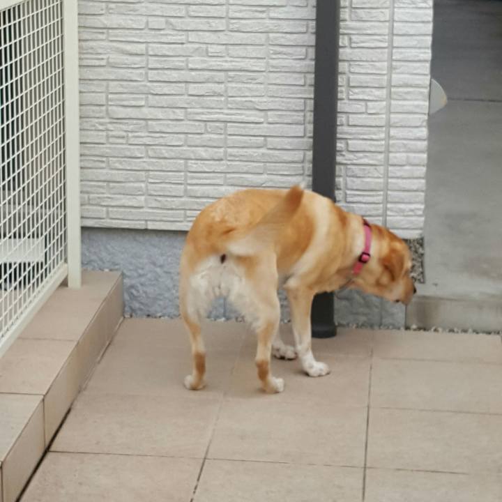 1c661f6c 6826 4062 93f8 01cfcfb945a2