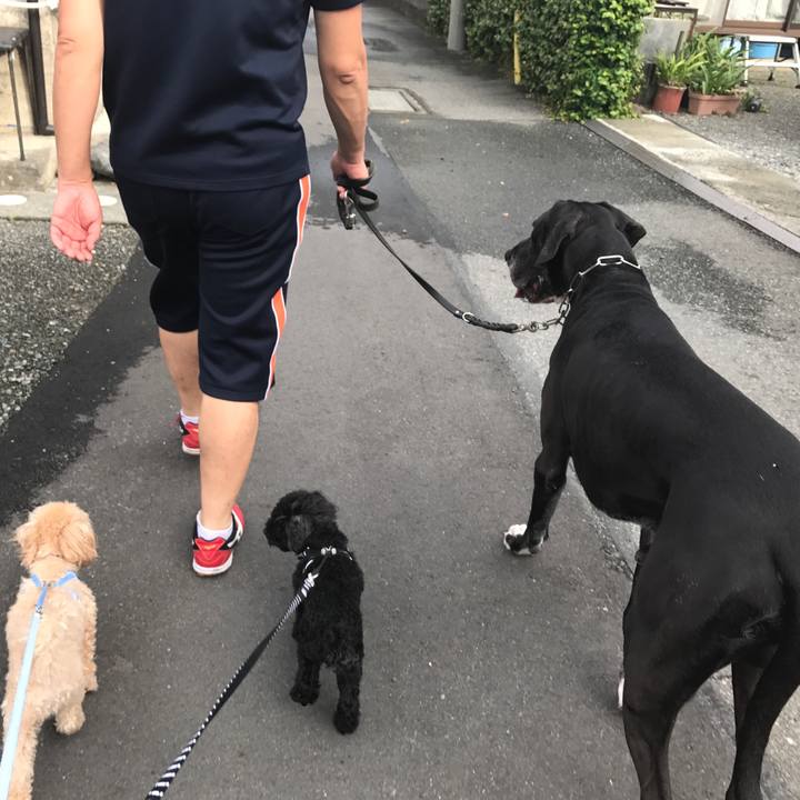 1c66511b 94be 4ed1 ac4e 8d25e2602b42