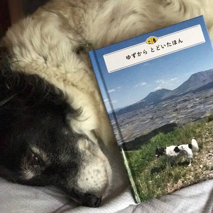 1c668395 9d09 45c3 8763 a277d845b020