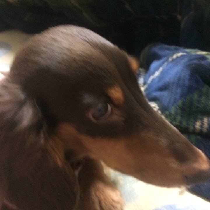 1c670365 e3de 47f8 b804 45d9d0060227