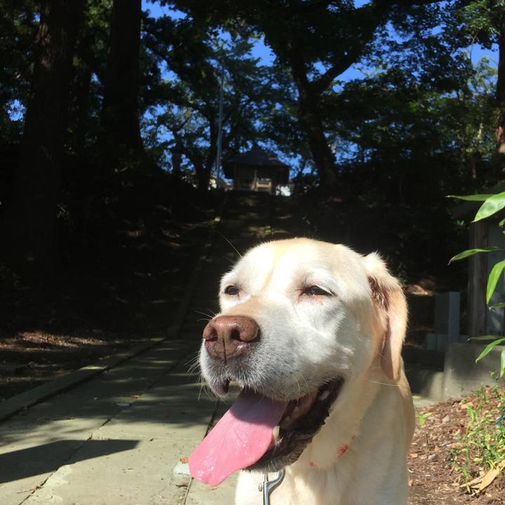 1c678a6a 3652 47f8 a8e6 f9509b871ecc