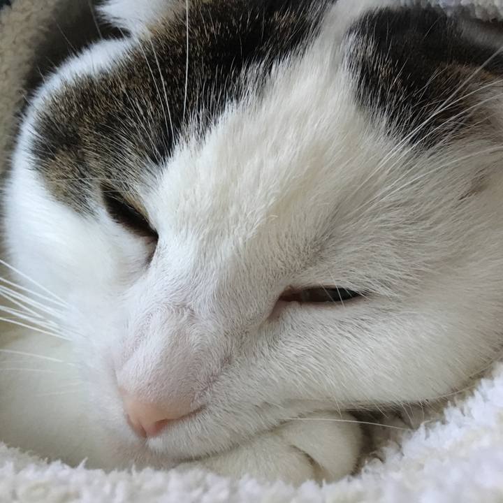 1c67ac49 a7fa 4be1 aa0d c95333fc9ca7