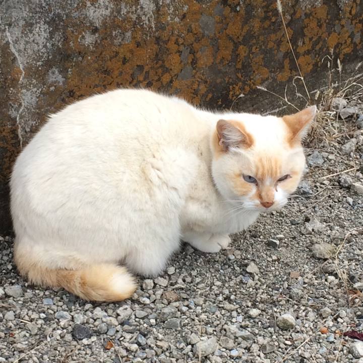 1c67b74e 70fa 41ee 9b10 192eac54dafb