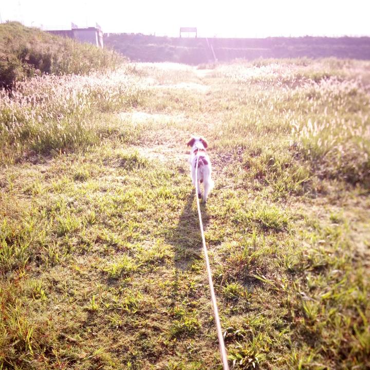 1c67bffb 9585 4c8e b368 53c2b7a4d891