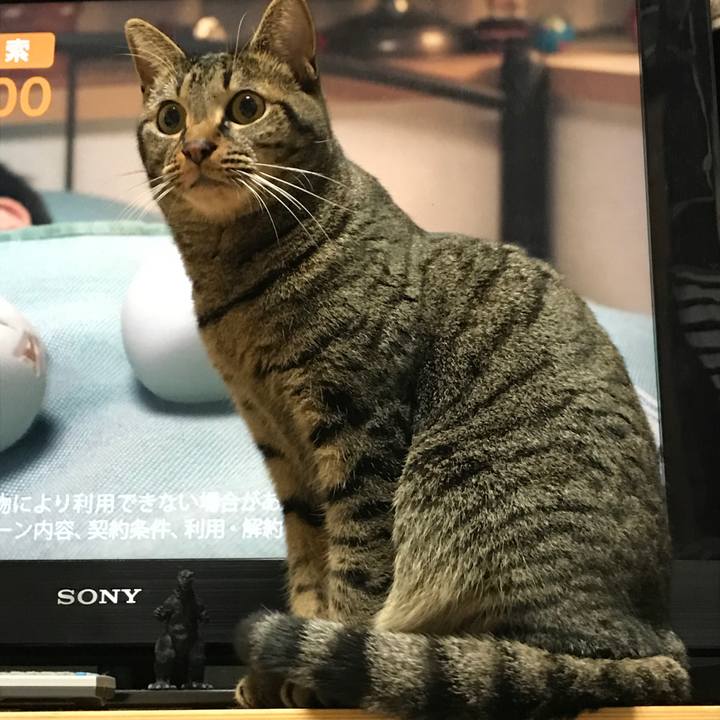 1c6827e1 458b 49cb 8540 bce07b6626dc