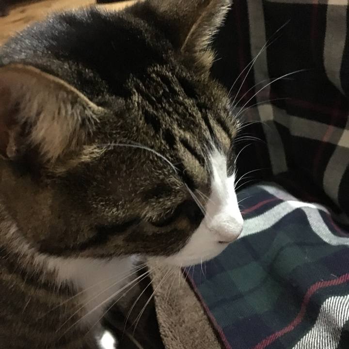 1c685fc2 fe7a 4f44 b656 839b0c699cc6