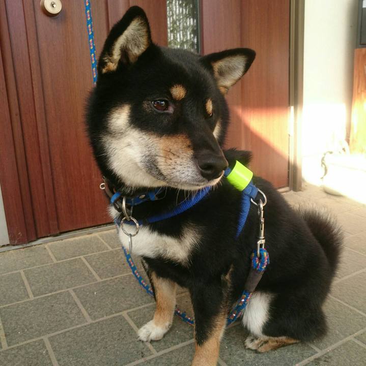 1c68730e d57d 4ff6 ba48 7811820d8683