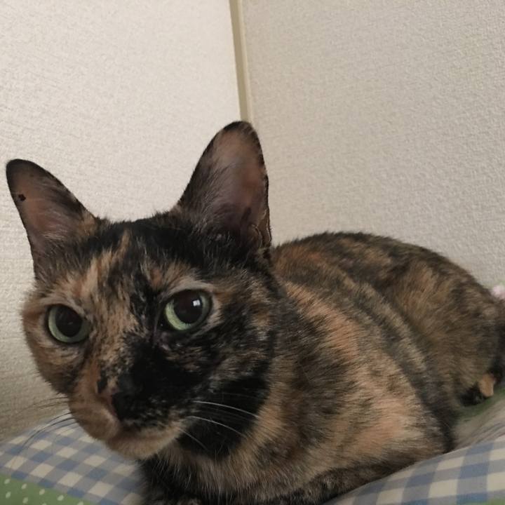 1c687911 7862 4c7e 914c 21244ad50267