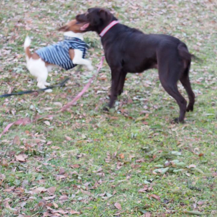 1c687b9a 9f60 4306 9e67 deca551304f3