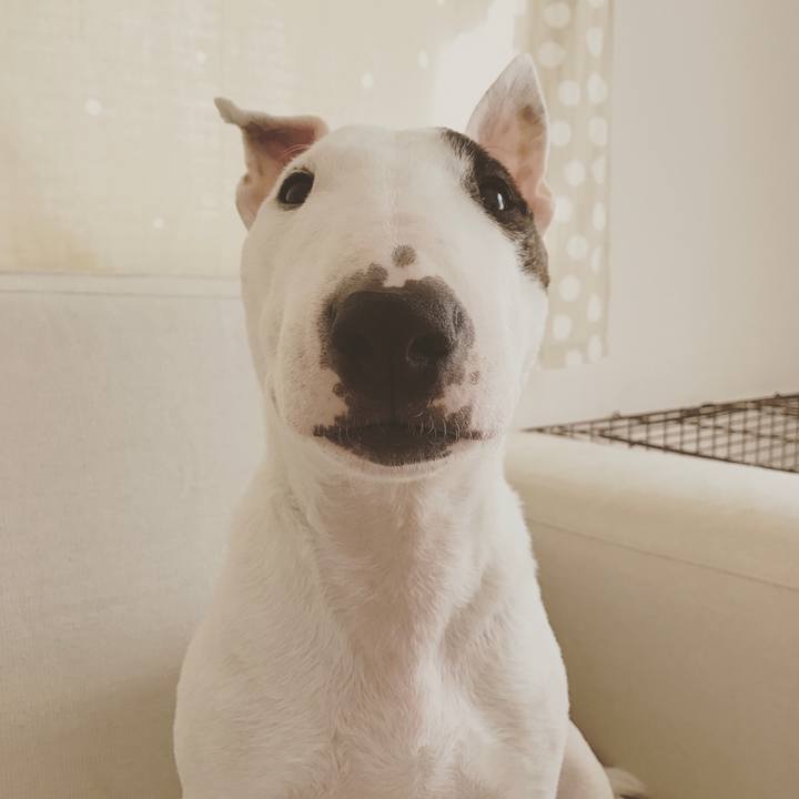 1c68a41d d072 4102 a532 9f1b8c882e53