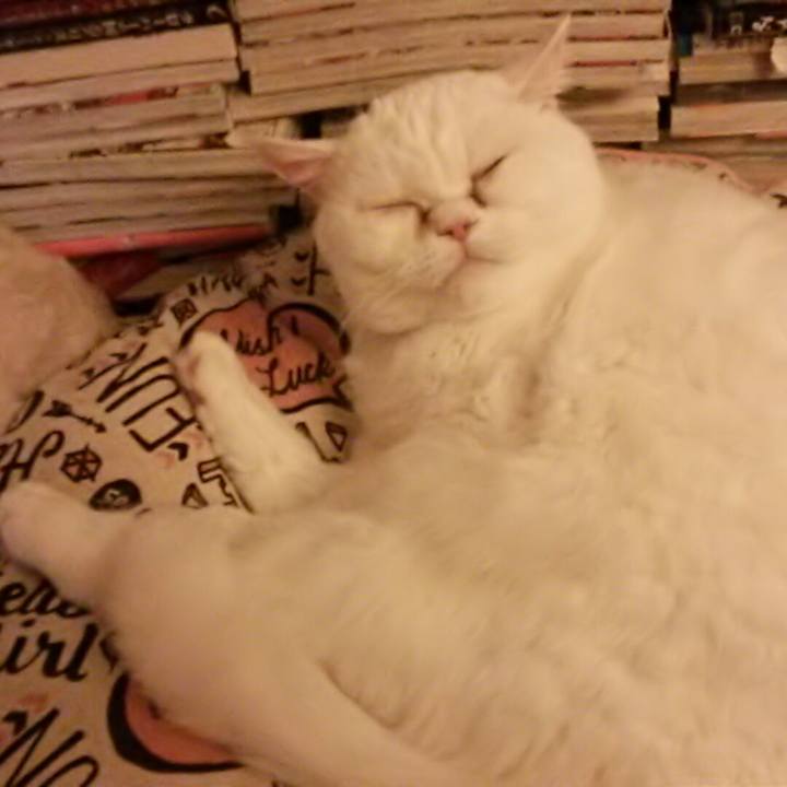 1c6a23c5 f7c4 4b89 8569 841ae9c55b50