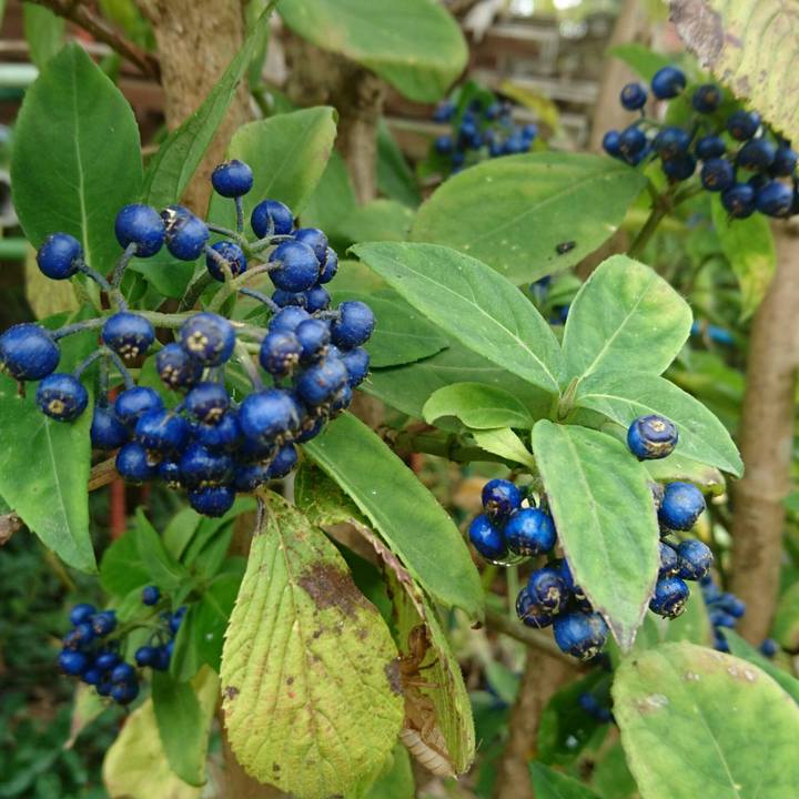 1c6a945f 8ba9 4489 a313 6a708777af66