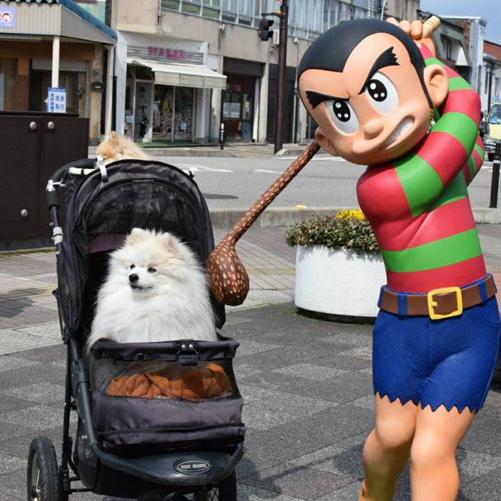 1c6ae662 1b9e 4da0 924a 83a2fe10be1a