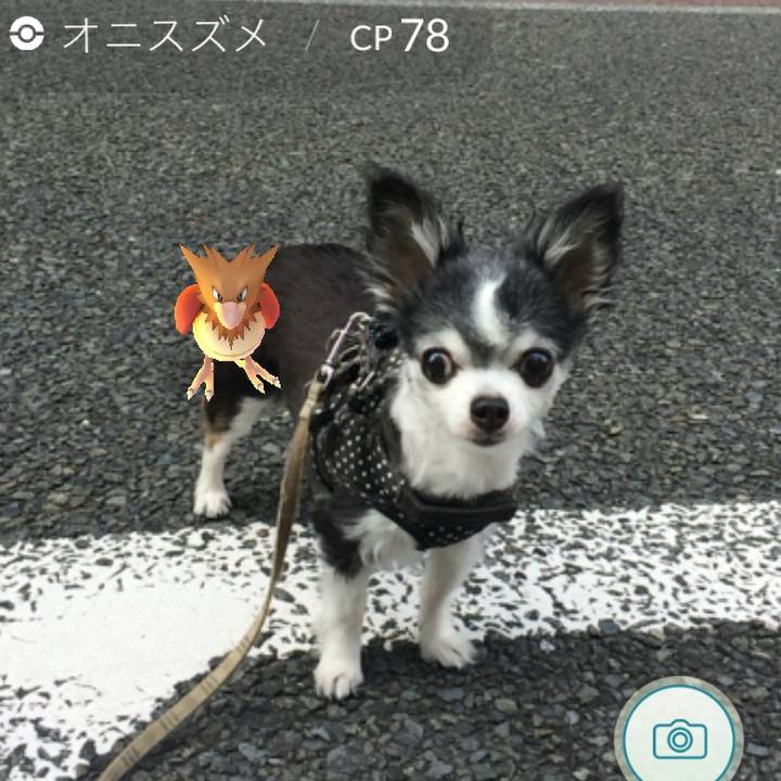 1c6af3b0 27f5 43c0 bacd c5a7bdececaa