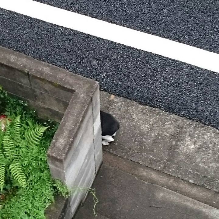 1c6b107d 29eb 48cd 9207 f73ba143c136