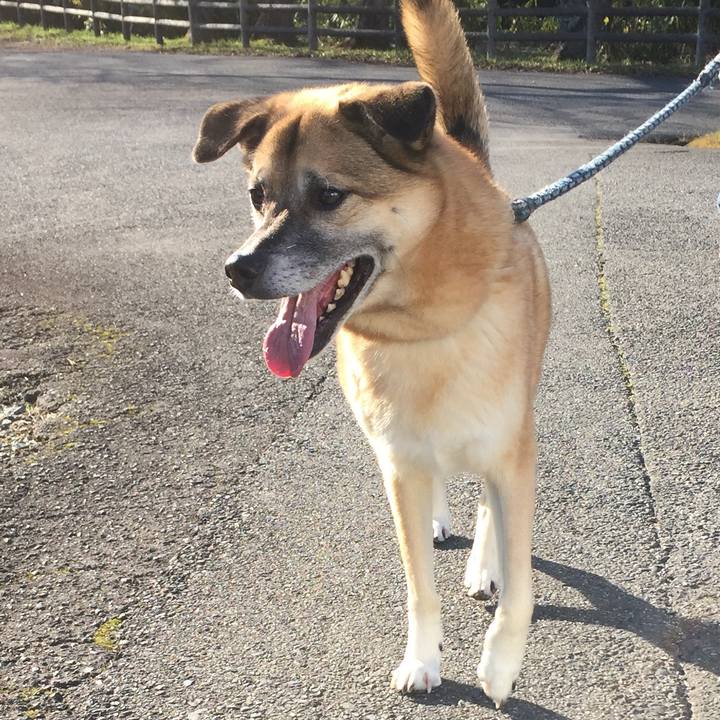 1c6b5e50 0ca2 4101 ab63 daf5f4905251