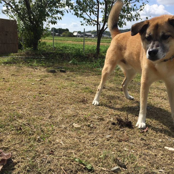 1c6bce8f ebfe 4b81 866c d3c882f7f3d1