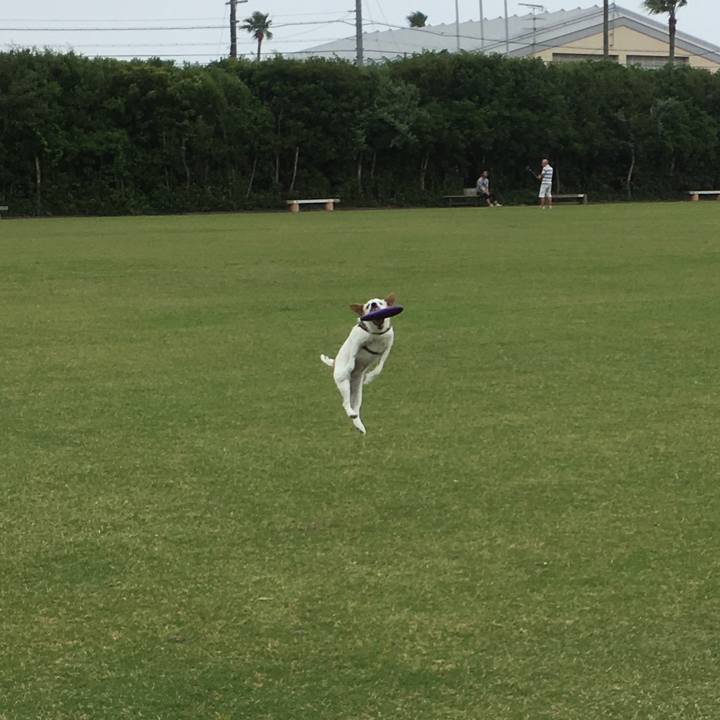 1c6cc2ab f8b9 4739 b56a 8b101906b8c2