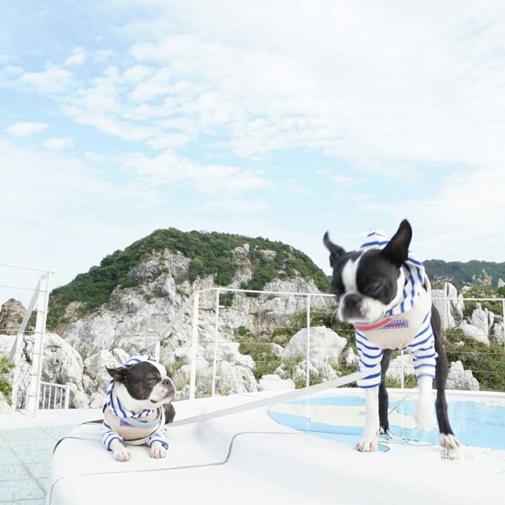 1c6ce17a 1e80 41ea 96fe aa5f8205d4e3