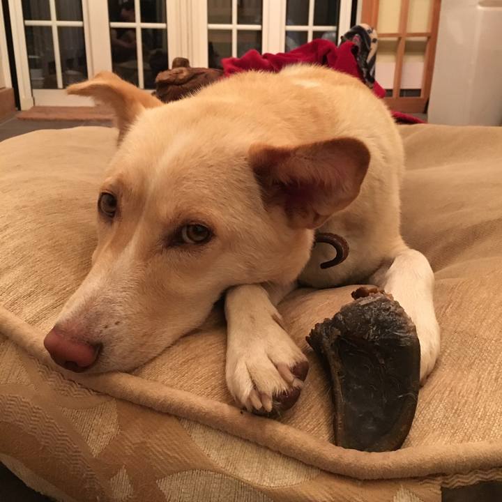 1c6d00e1 00a6 467d b987 5805adb3b20d