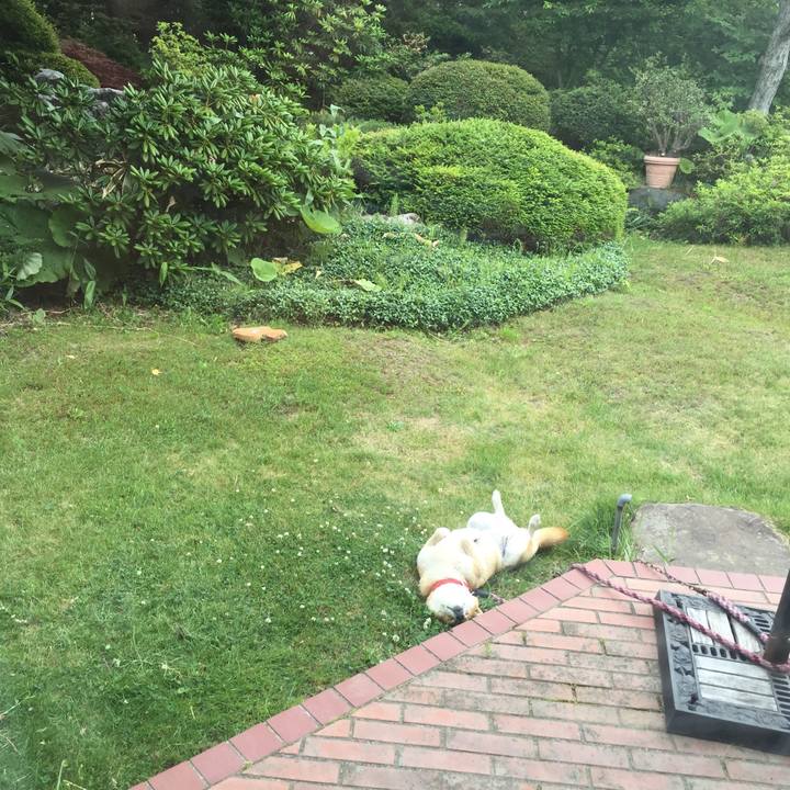 1c6d1649 8fbb 4119 a37a 5125e3953bff