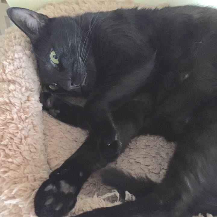 1c6e0512 cad4 4c84 8894 347fdf78c247