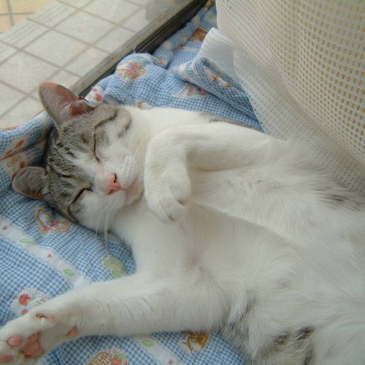 1c6eb43a cf4a 4f10 907e 371274f549fe