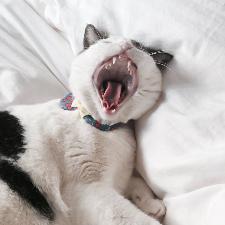 1c6fb1ae e00e 4eae bf43 4164eb63b716