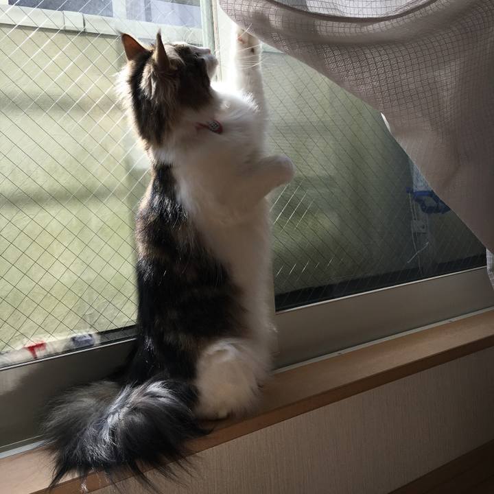 1c6ff14b 0d42 4c69 b8fb 72302d24958c