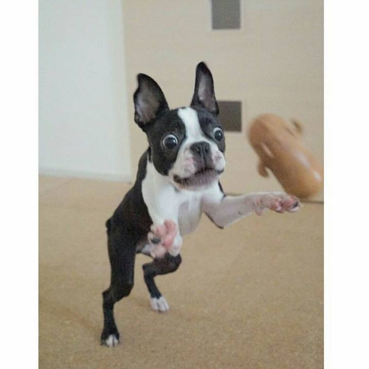 1c700a86 4ee7 4f04 a9b3 3a85934c123b