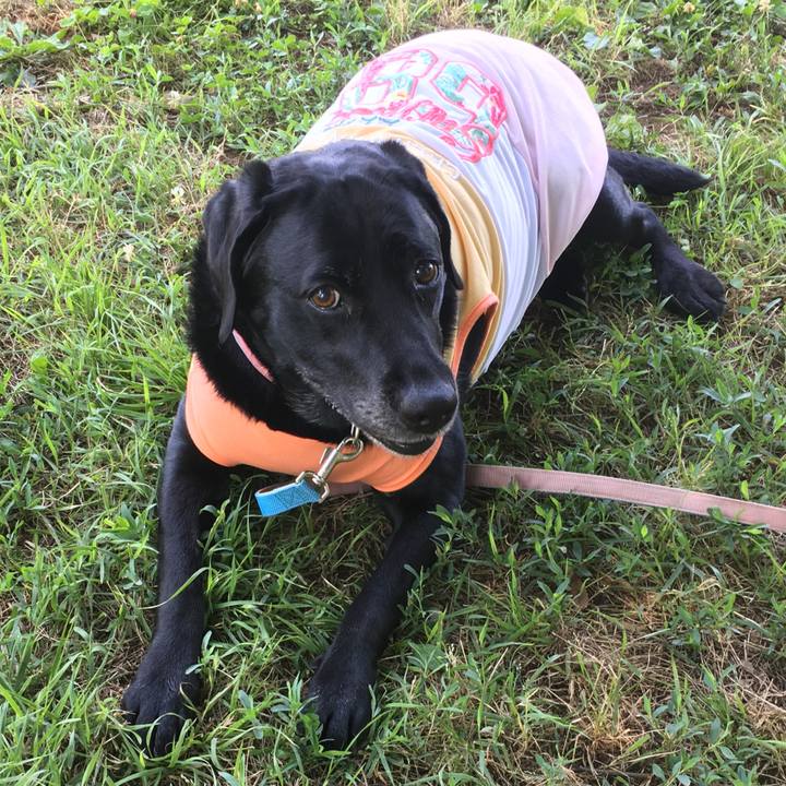 1c70d113 261f 4a7f 8e12 a0afb388a360