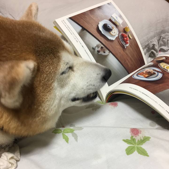 1c715716 ae46 4332 8f53 3bffc28242d0