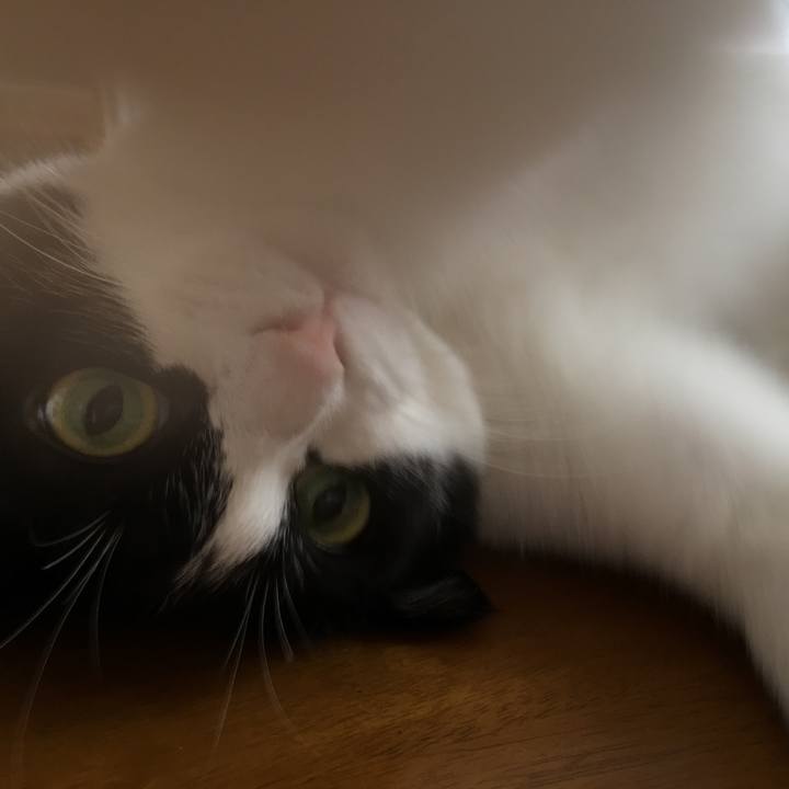 1c71c925 f934 4861 a32f 9197e1ac98f0