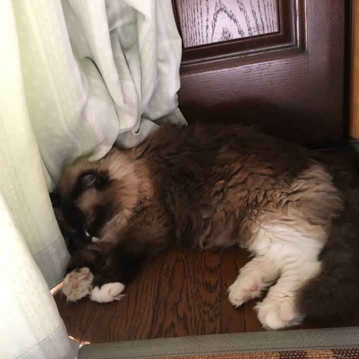 1c71f7f9 675d 4f35 84af afc326d0975c