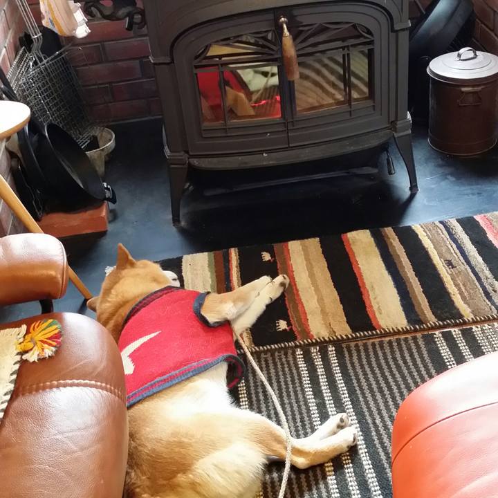 1c72588c 1f6f 4753 8a27 61a3283f65ea