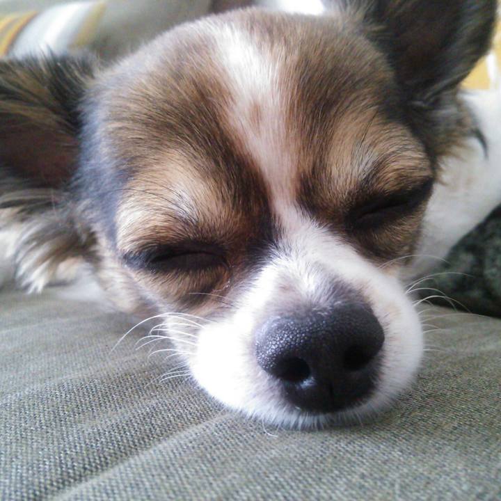 1c72c4d3 ab02 4554 9f93 b18822f19540