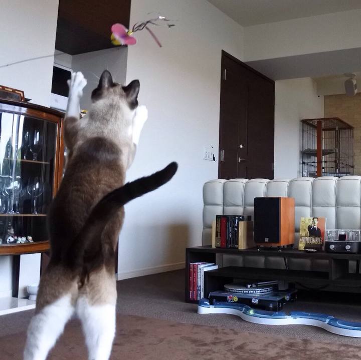 1c72d2fa b61b 46d0 90ce 1027cef5791d