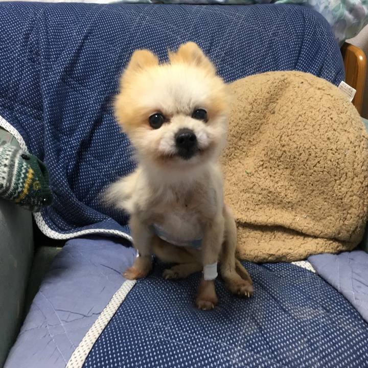 1c72d994 bf6d 41c6 8bd4 1bc467ec8e4e